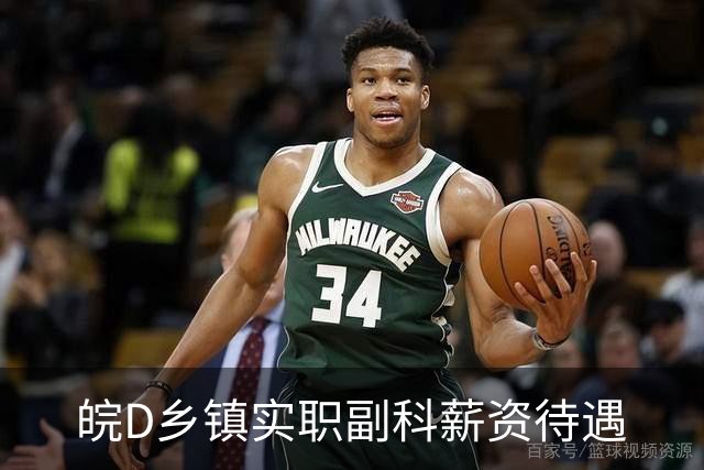 皖D乡镇实职副科薪资待遇
