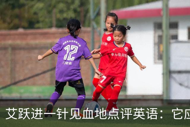 艾跃进一针见血地点评英语：它应当与体育、音乐、美术同属一档，说到底不过是一门工具